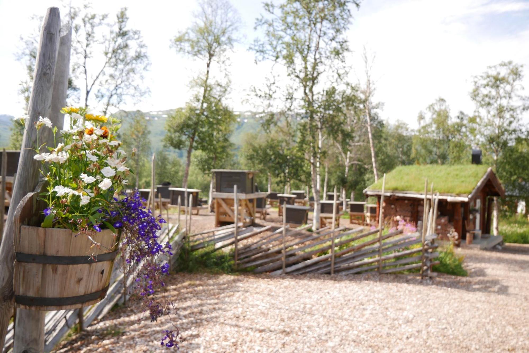 Bardu Huskylodge المظهر الخارجي الصورة