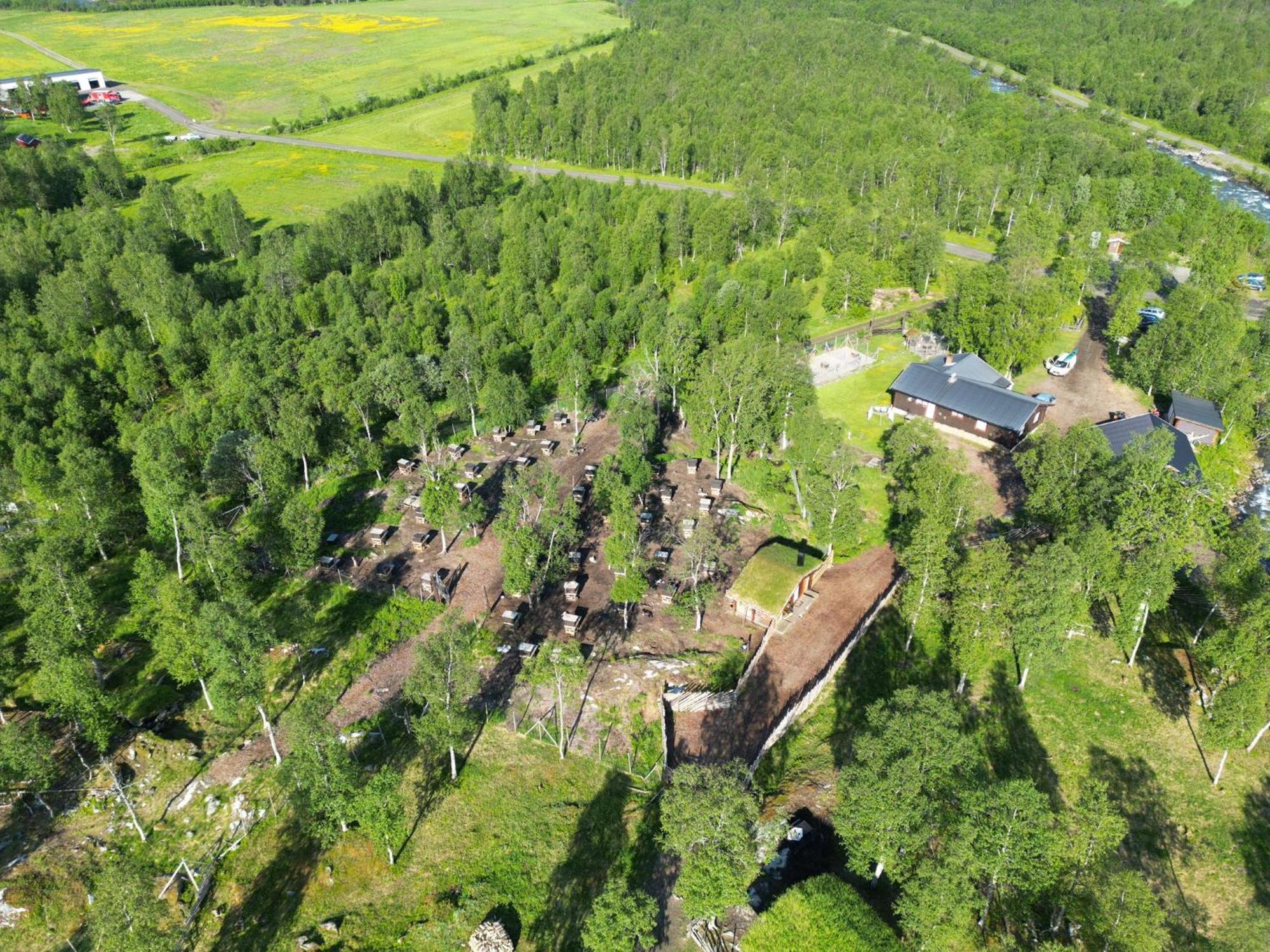 Bardu Huskylodge المظهر الخارجي الصورة