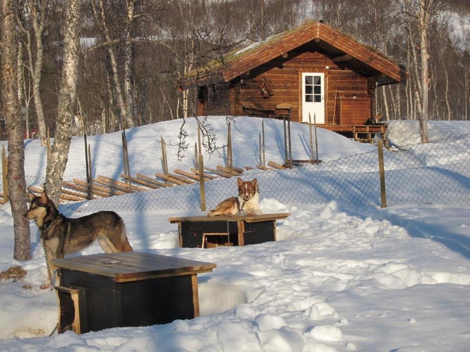 Bardu Huskylodge المظهر الخارجي الصورة