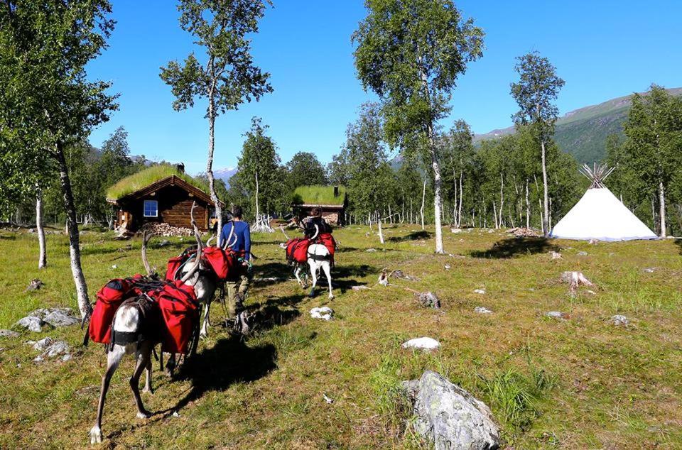 Bardu Huskylodge المظهر الخارجي الصورة