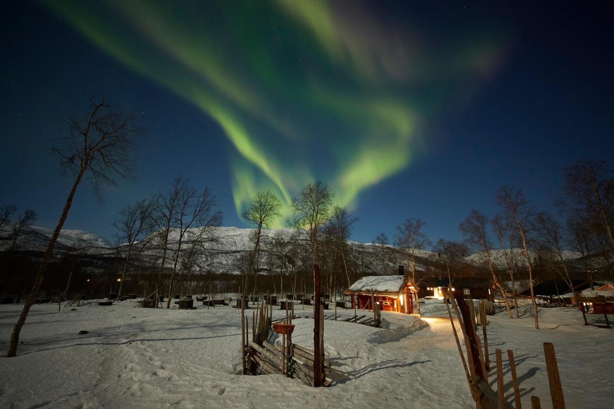 Bardu Huskylodge المظهر الخارجي الصورة