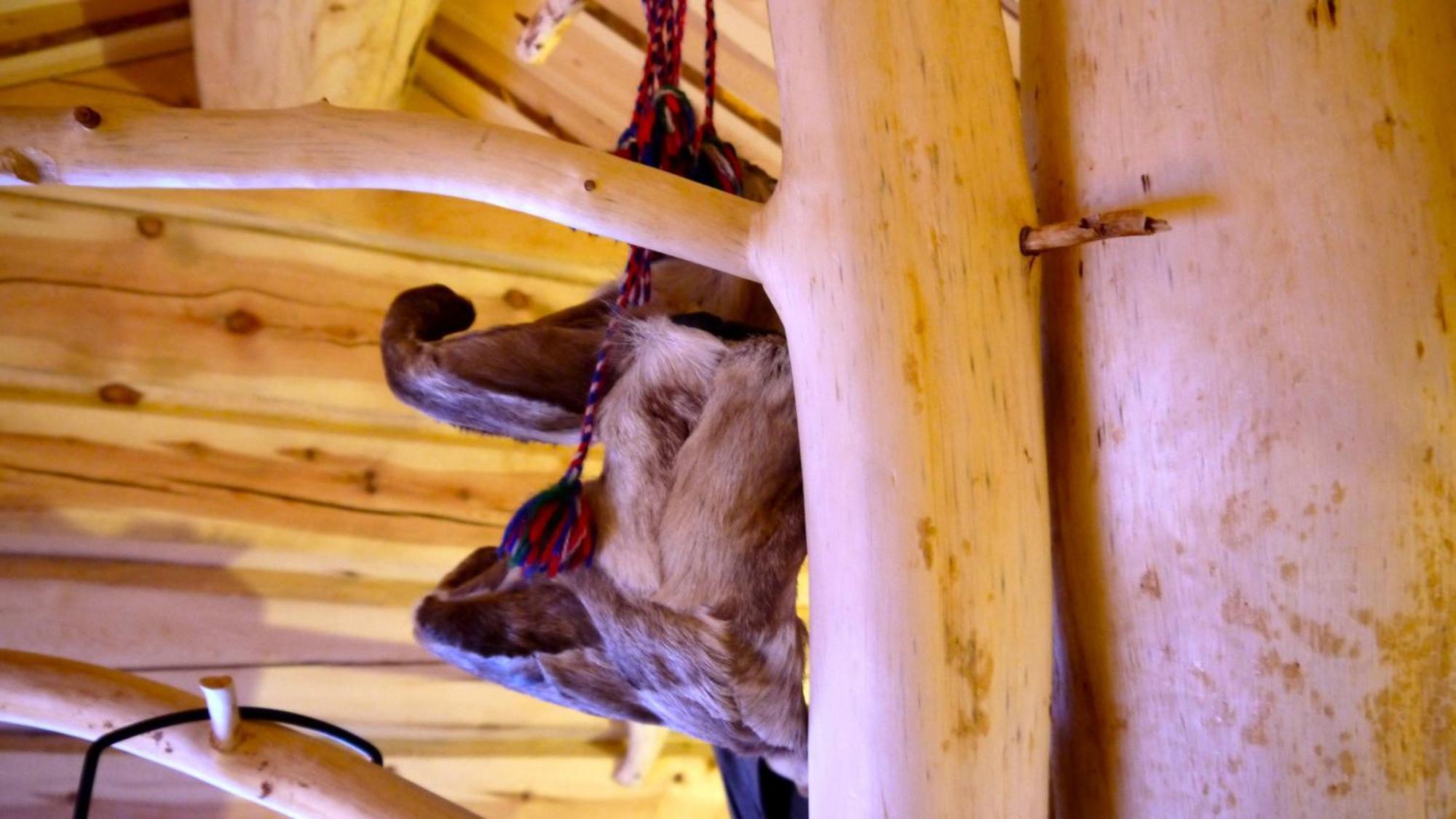 Bardu Huskylodge المظهر الخارجي الصورة
